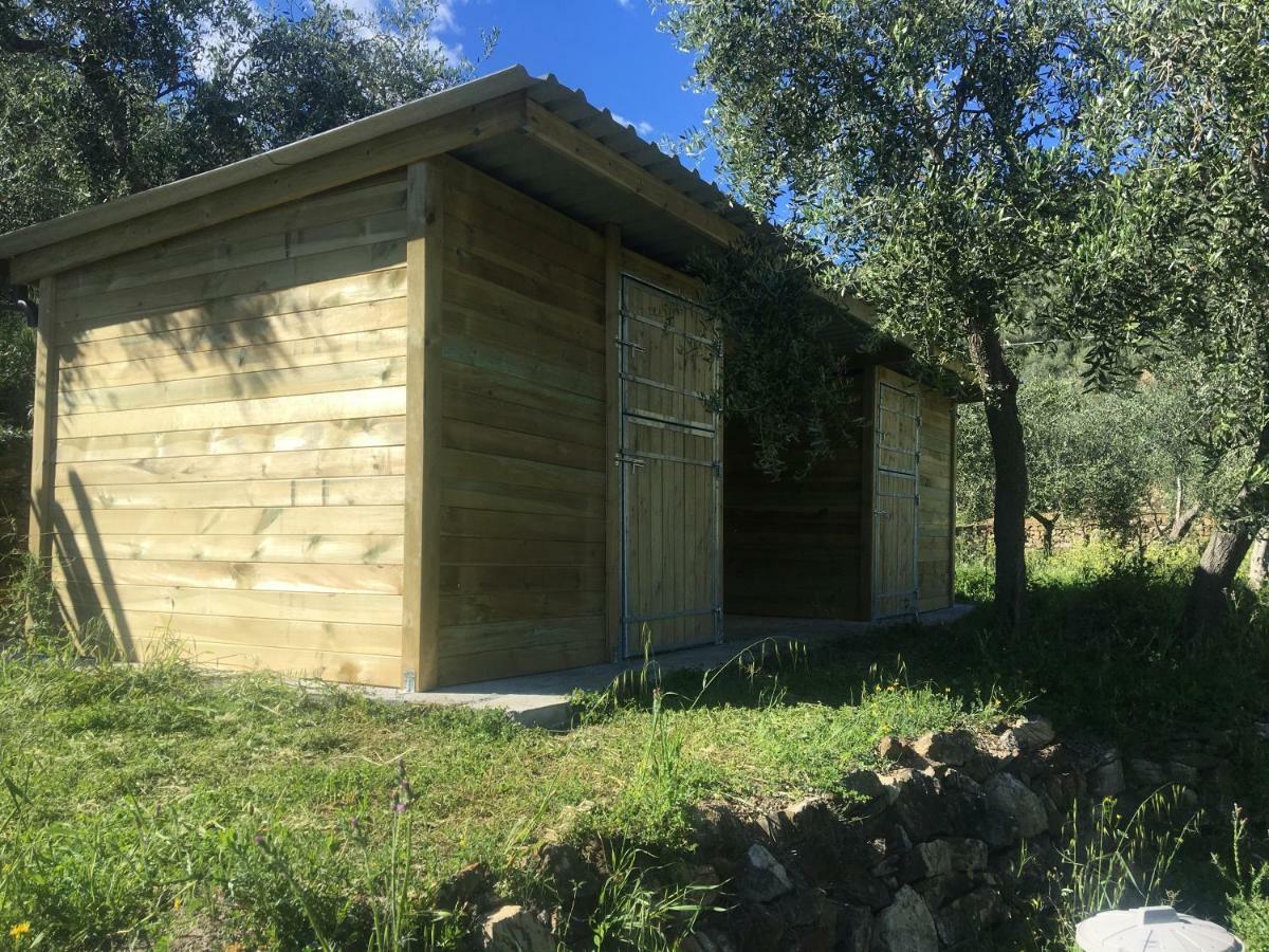 Agriturismo Oltrealmare Civezza Екстер'єр фото