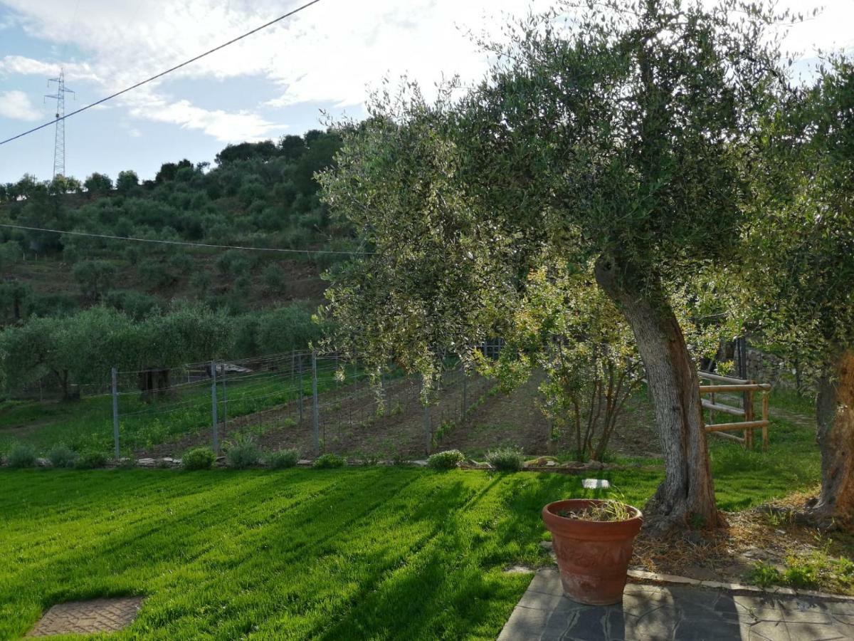 Agriturismo Oltrealmare Civezza Екстер'єр фото